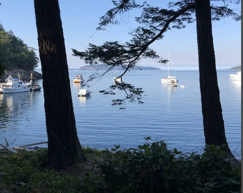 View north from a campsite on Jones Island in the San Juans