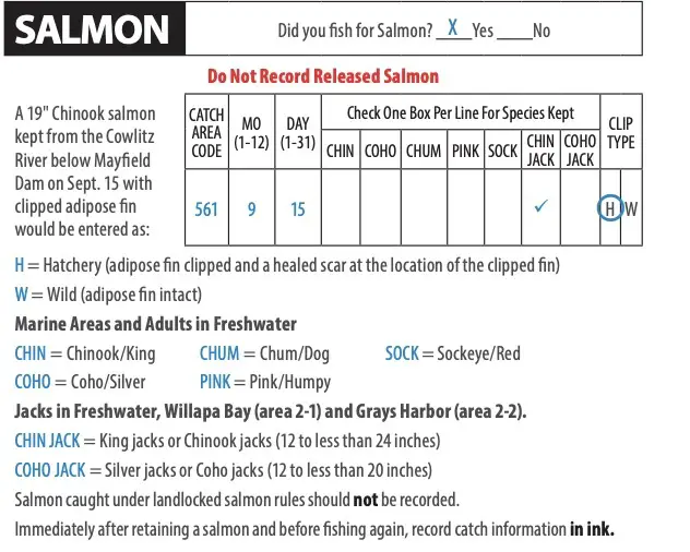 Understanding WDFW Saltwater Salmon Fishing Regulations PNW Best Life