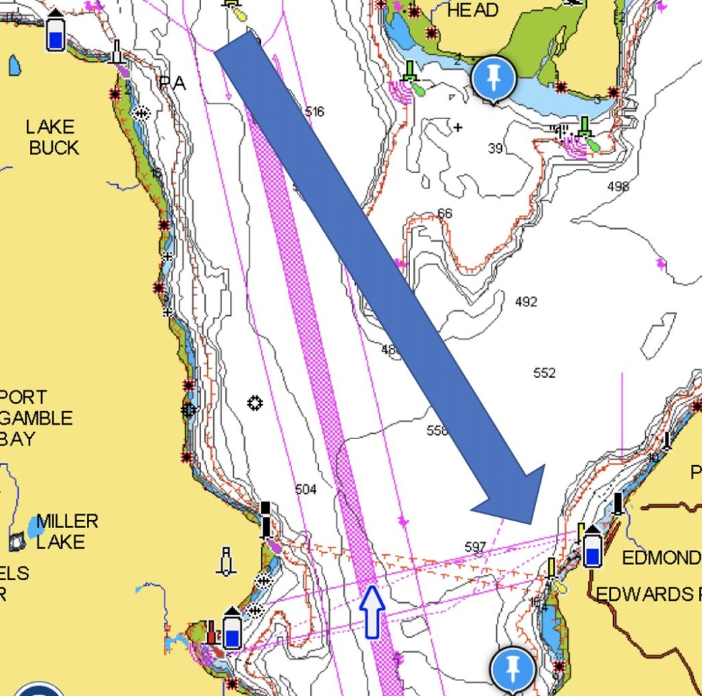 Coho migration path from Admiralty Inlet to the Oil Docks