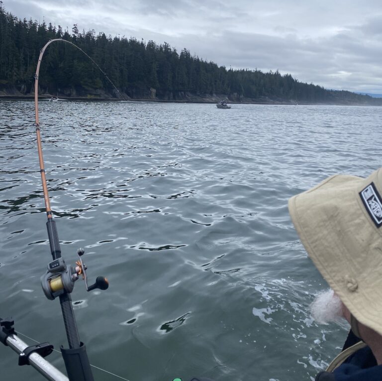 PNW Best Life – A site dedicated to capturing the best of living and ...