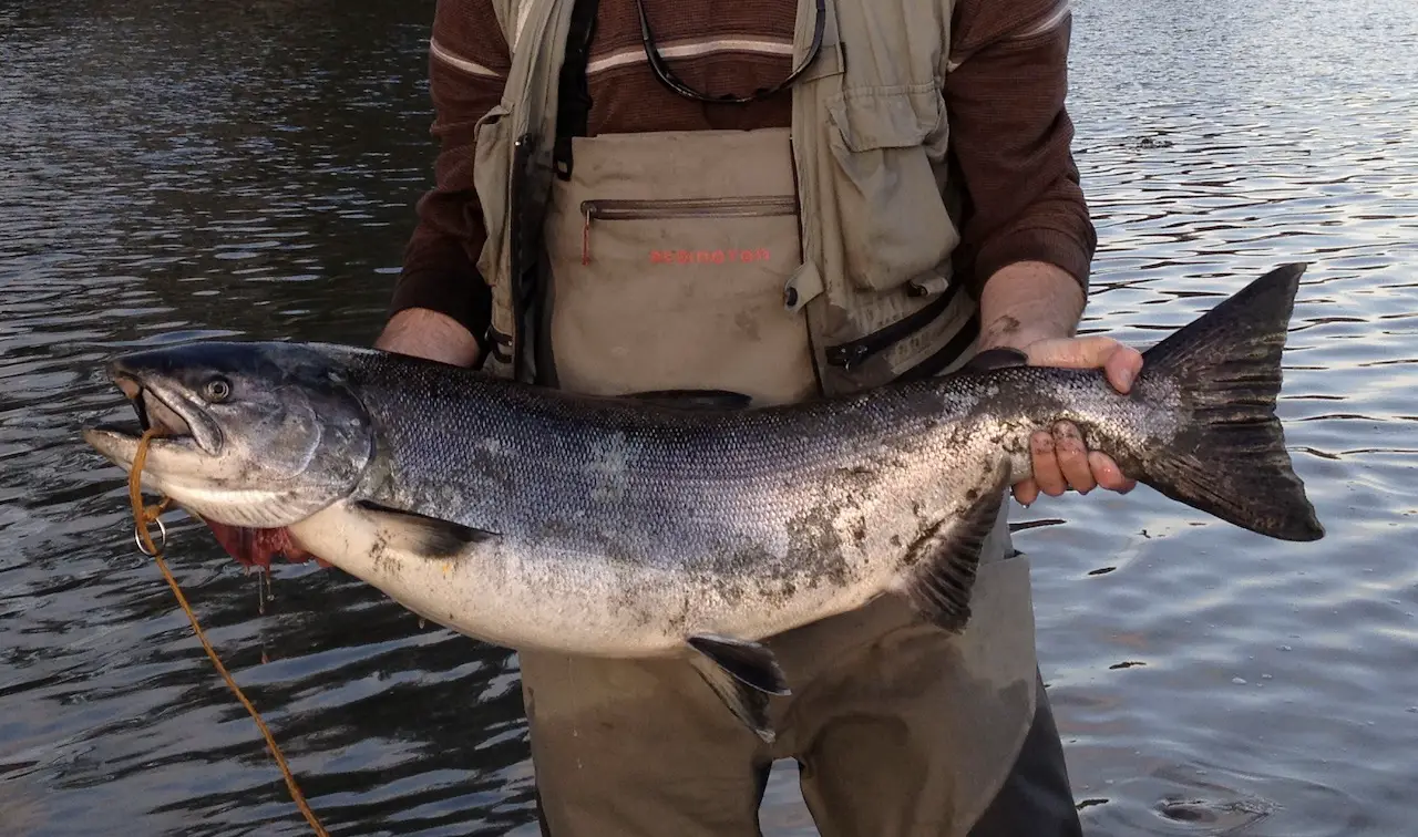 River Fishing for Salmon – PNW Best Life