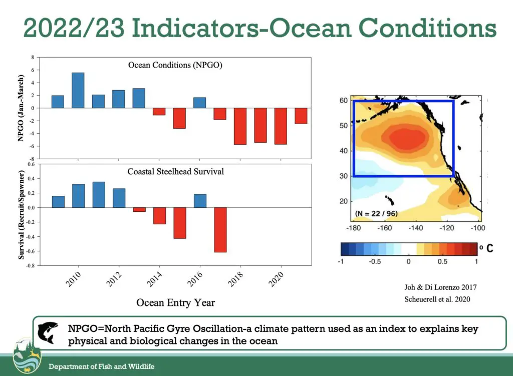 2022-2023 ocean condition indicators