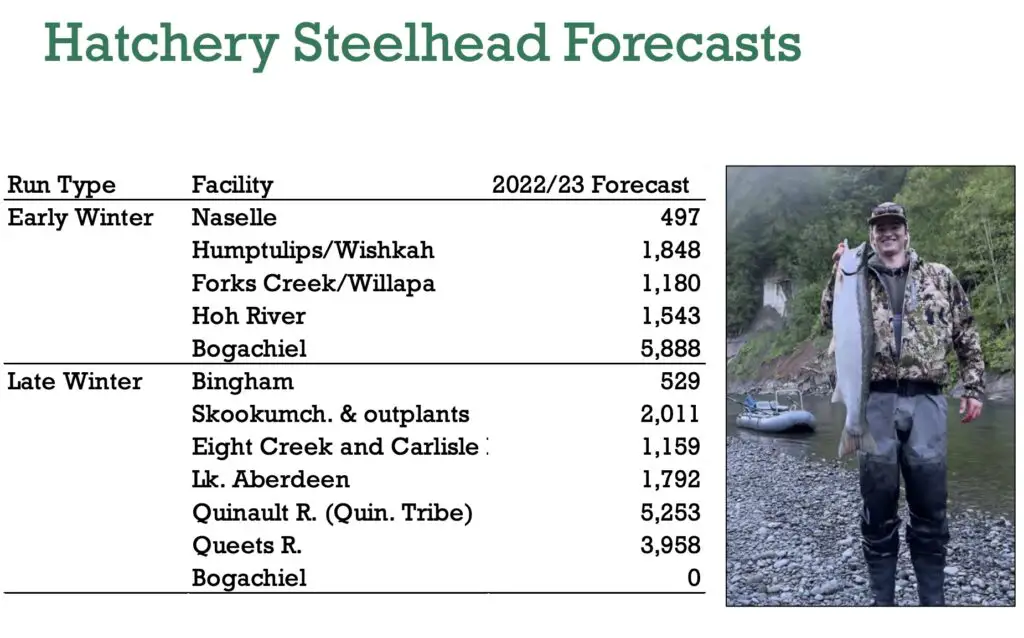 Hatchery steelhead forecast 2022-2023