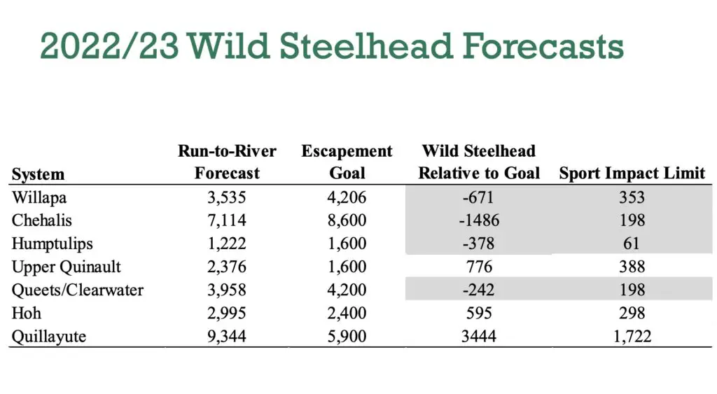 Steelhead forecast 2022-2023