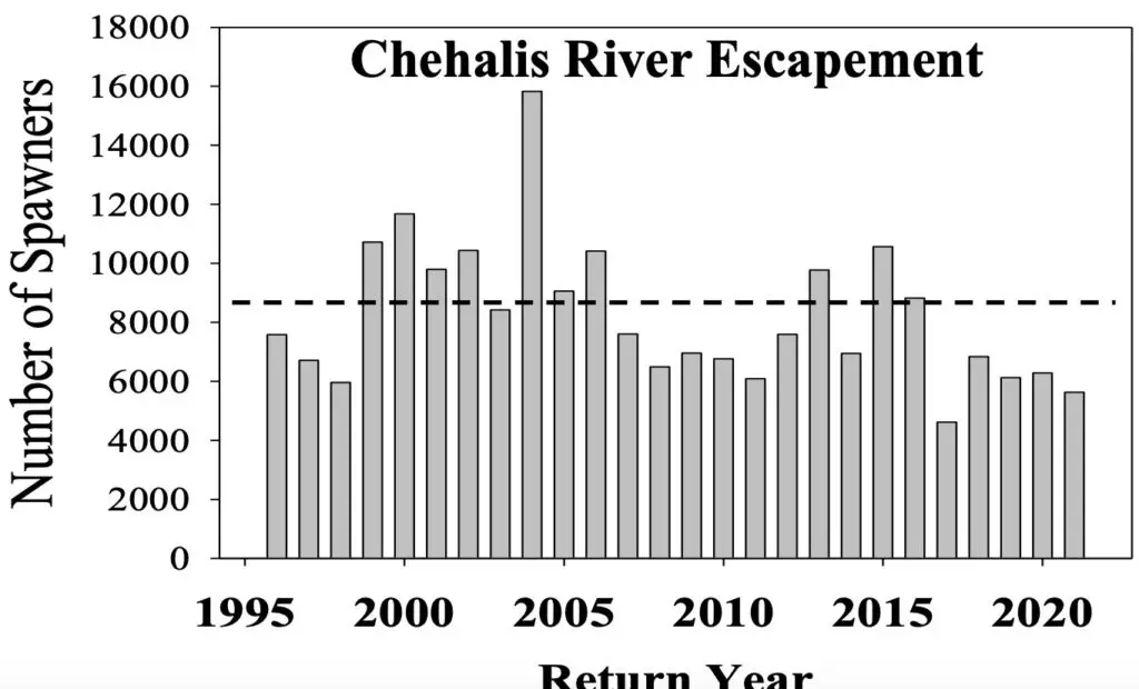 Chehalis wild escapement