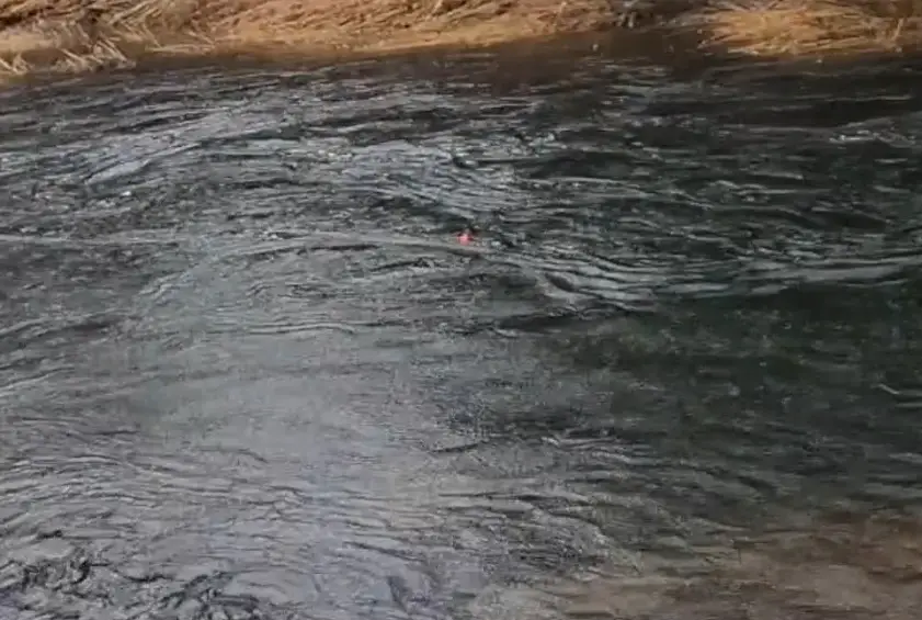 Fishing a current seam for steelhead 2