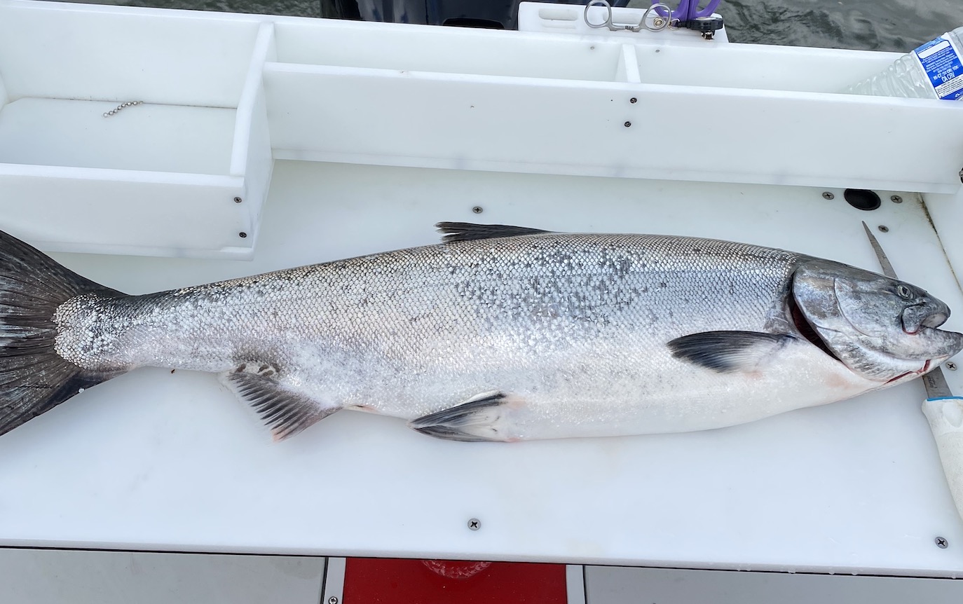 2023 Columbia River spring Chinook fishing seasons announced PNW BestLife