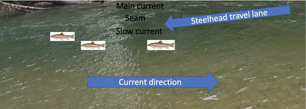 Steelhead drift breakdown