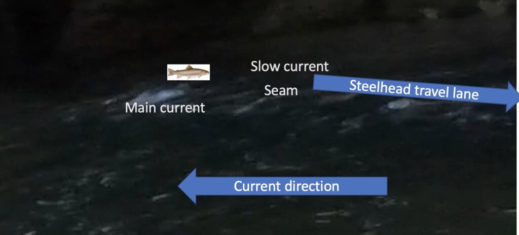 Steelhead drift diagram 3