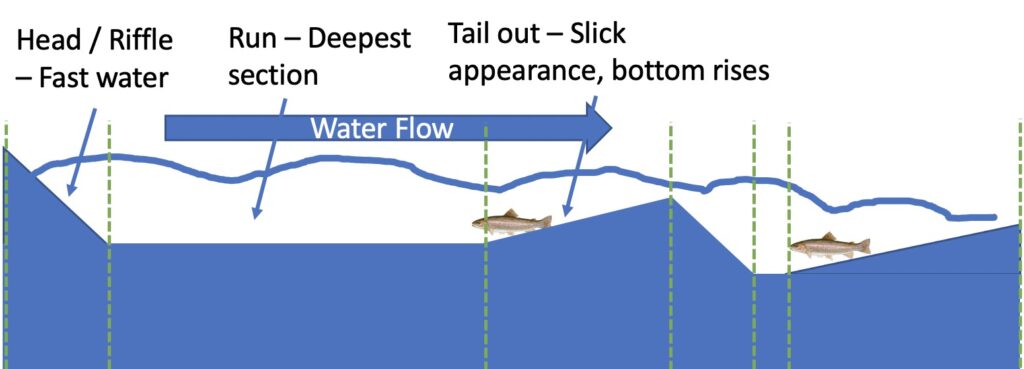 Understanding the tailout transition river definition