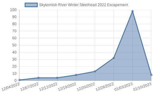 skykomish_wintersteelhead_2022