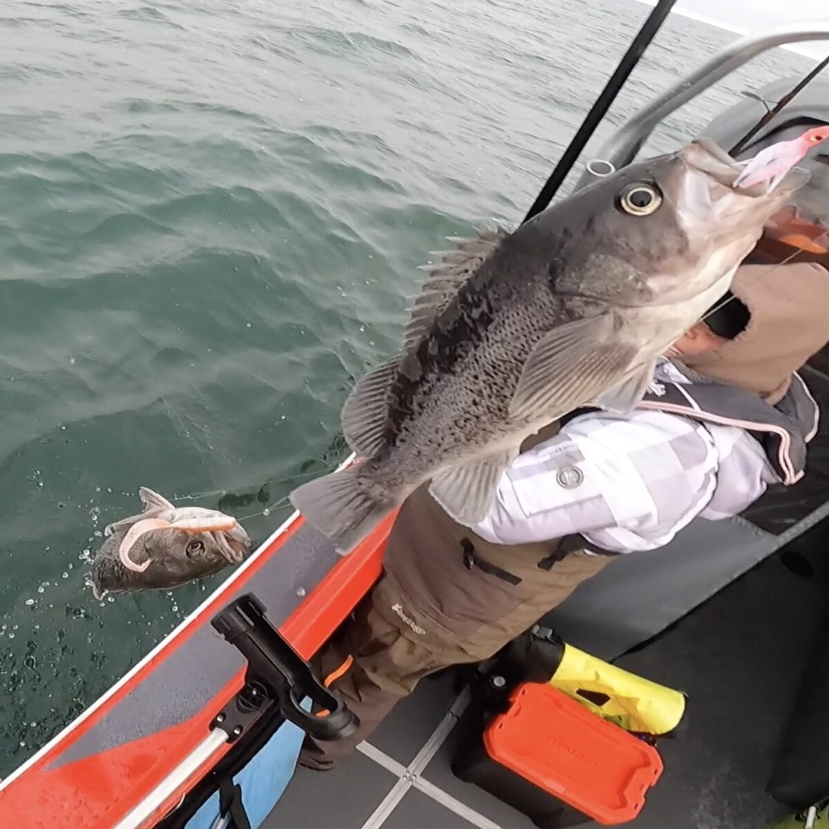 How to Catch Rockfish Quickly – PNW BestLife