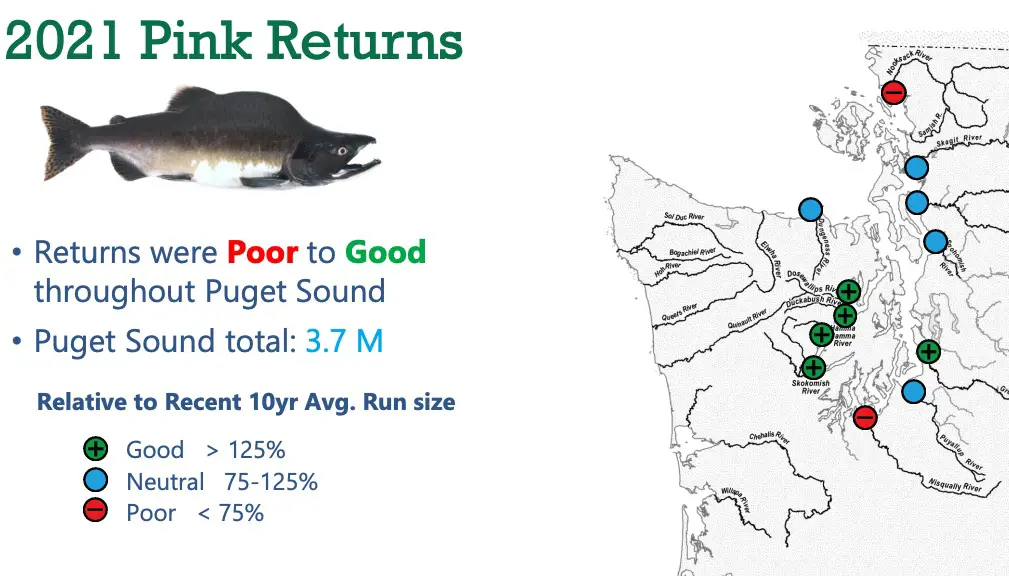 2021_puget-sound_pink_returns-map