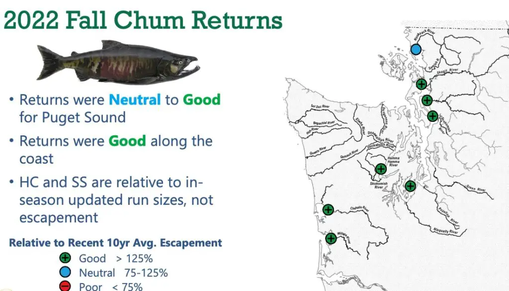2022_all_chum_returns-map