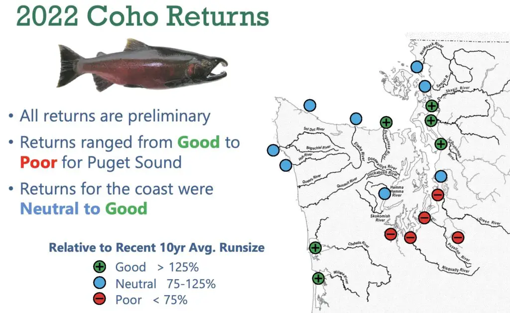 2022_all_coho_returns-map