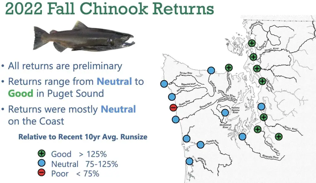 2022_all_fall-chinook_returns-map