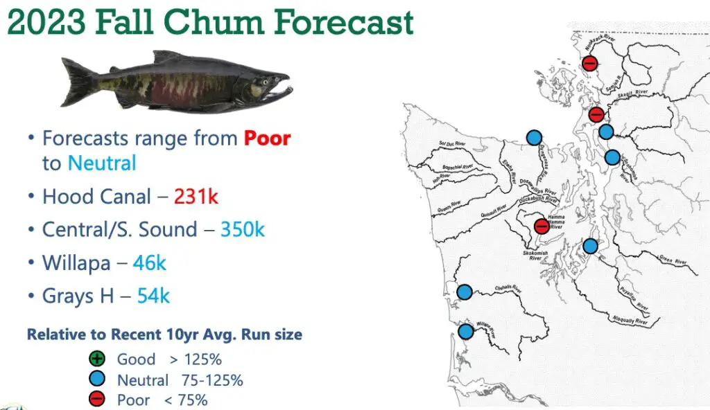 2023_all_chum_forecast-map