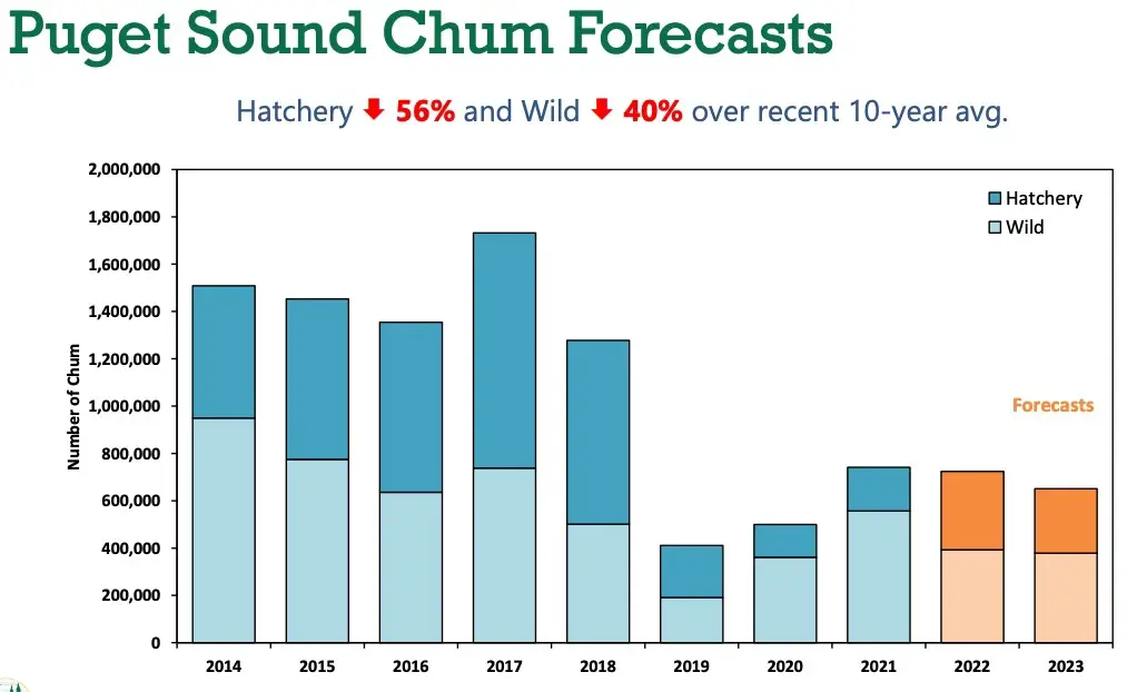 2023_puget-sound_chum_forecast-chart