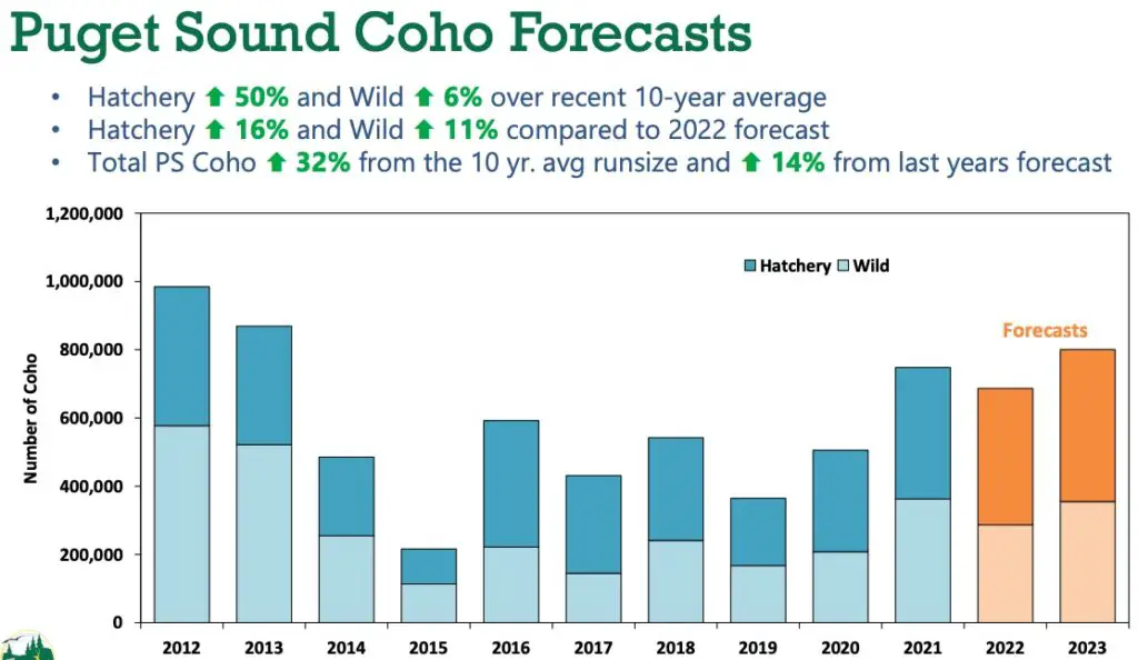 2023_puget-sound_coho_forecast-chart