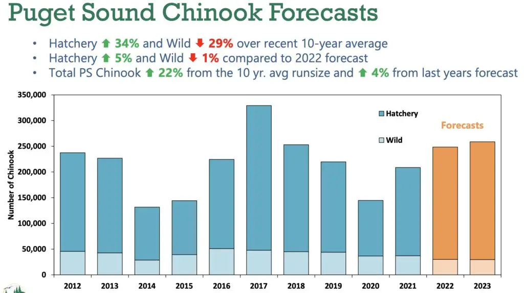 2023_puget-sound_fall-chinook_forecast-chart