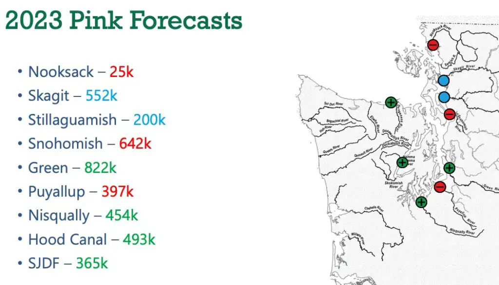 2023_puget-sound_pink_forecast-map