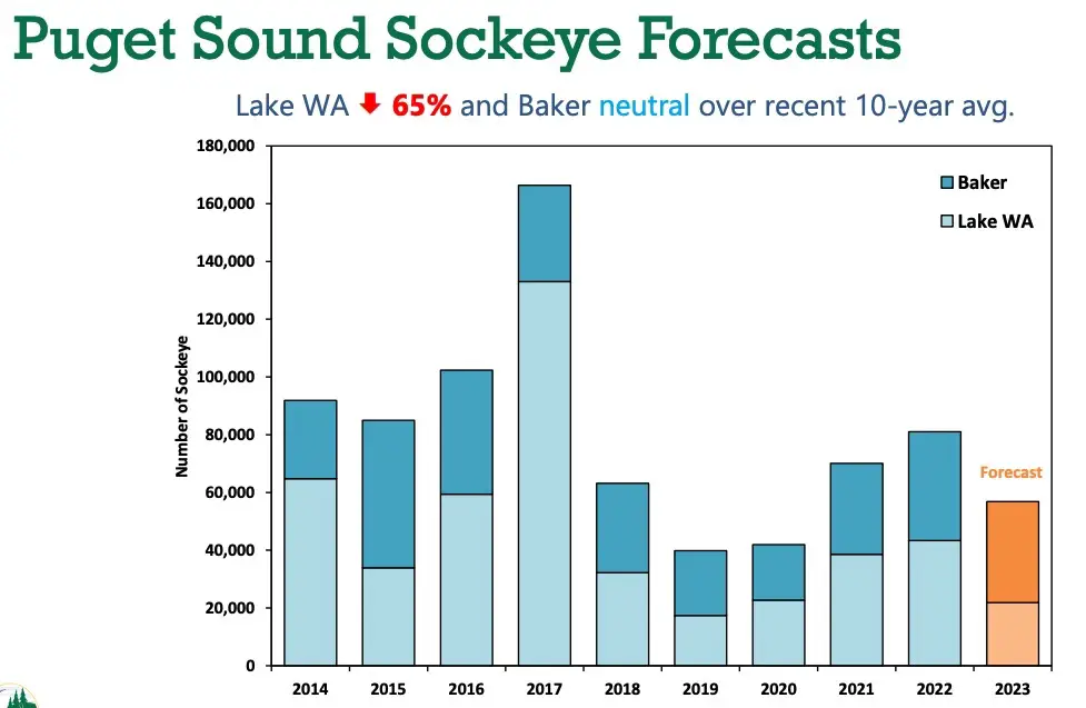 2023_puget-sound_sockeye_forecast-chart