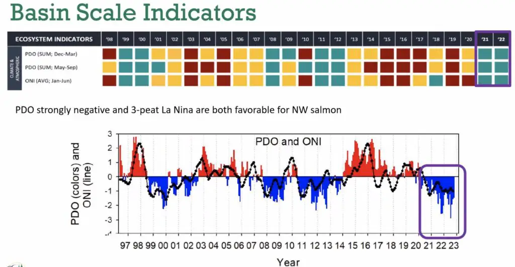 Basin Scale Indicators