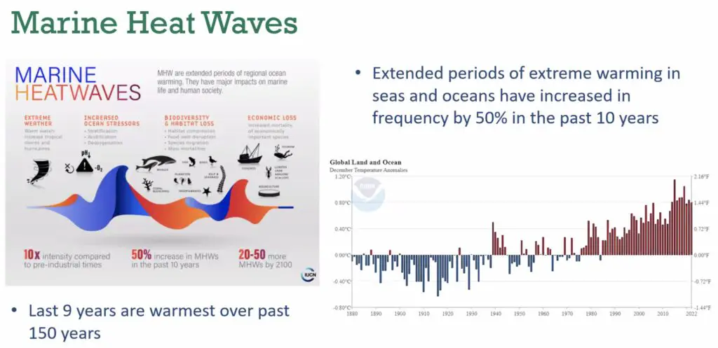 Marine heat waves