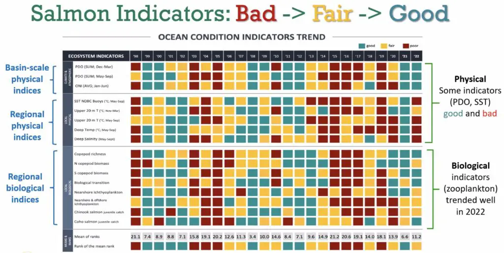 Salmon indicators 2022-2023