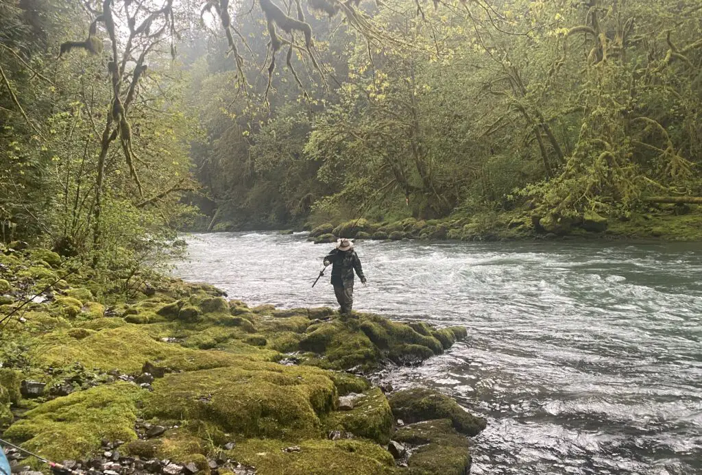 Angler on the Kalama River 2