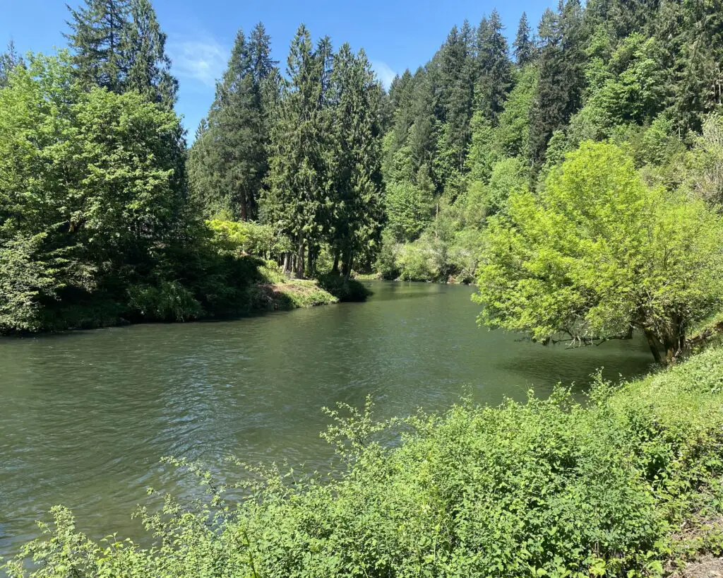 Kalama River spring summer beautiful green