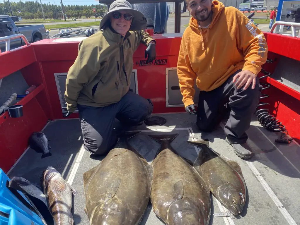 My crew with their limit of halibut out of westport 2023