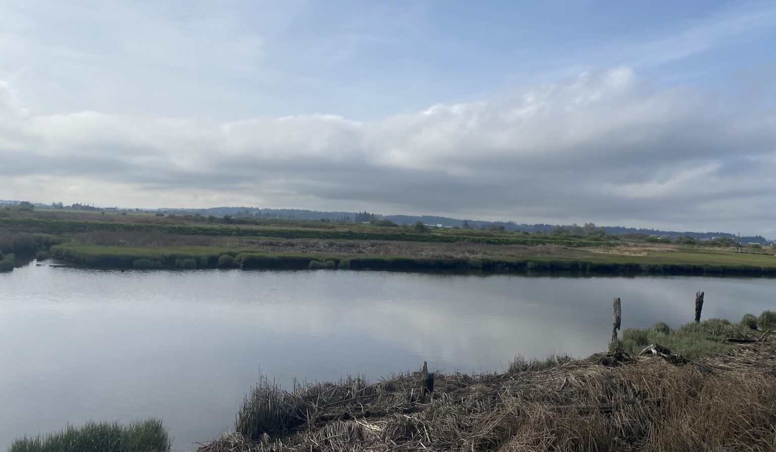 Samish River Fishing – PNW BestLife