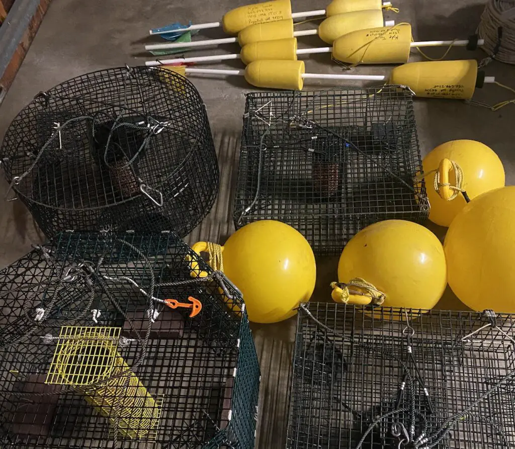 shrimping gear and pots laid out for inspection 2023