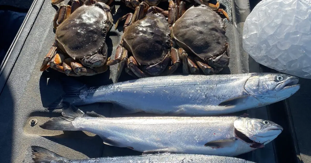 Puget Sound Crab Season 2024 Adda Livvie