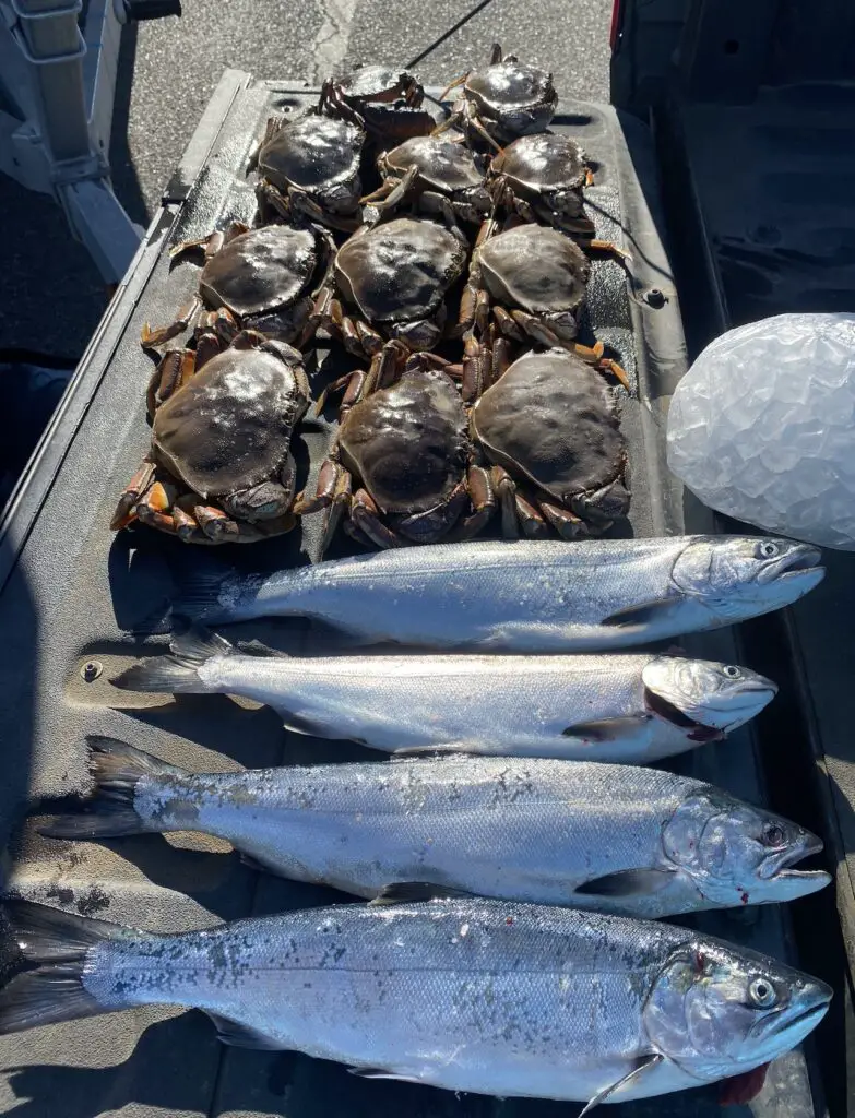 limits of summer salmon and crab from Puget Sound