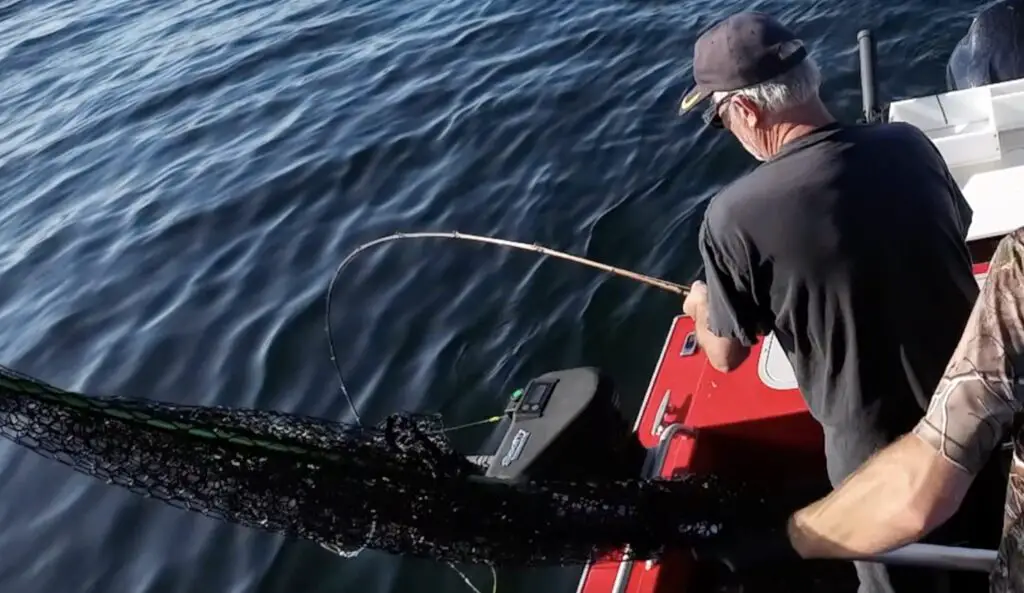 Dad lands a hatchery chinook on possession