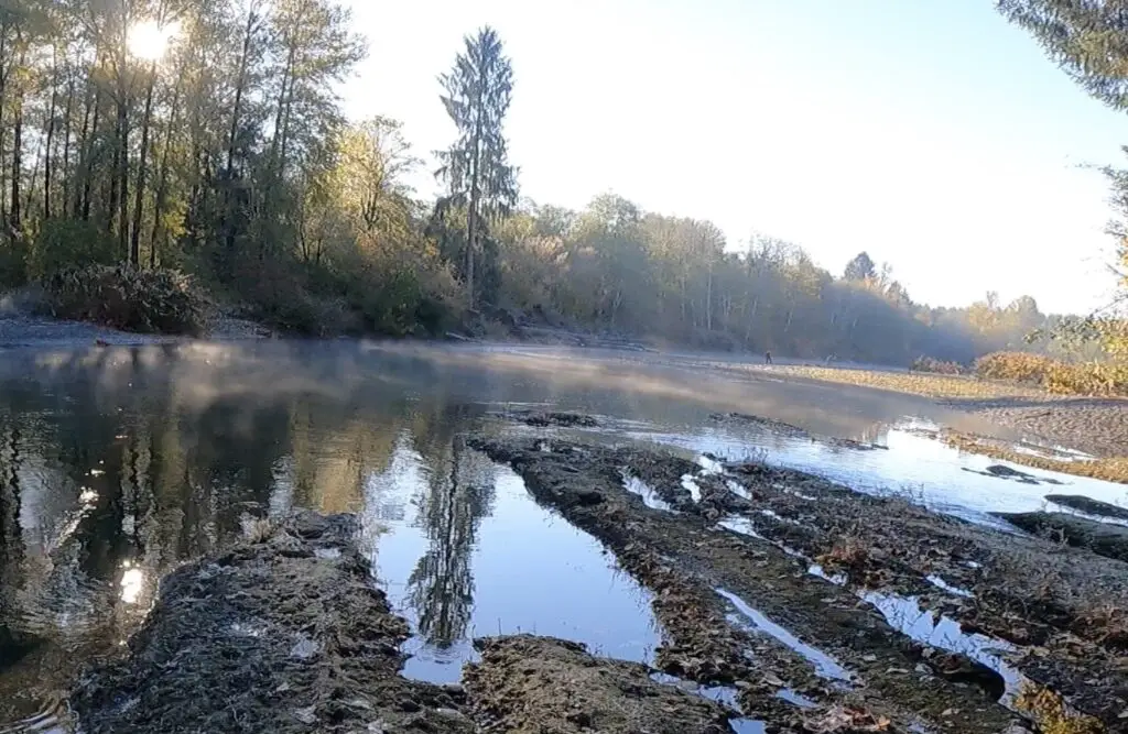 Humptulips river beautiful