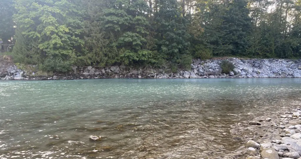 Nooksack river in September 2023 2