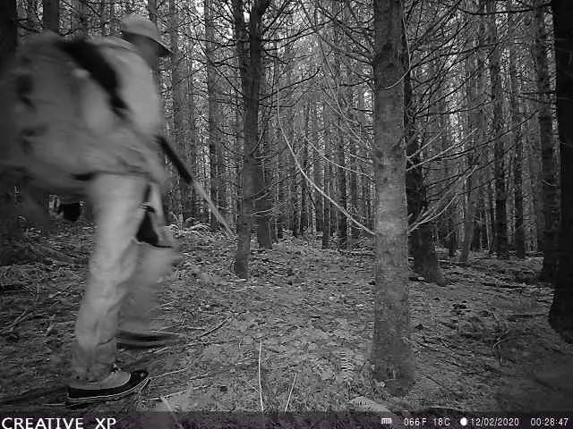 muzzy hunter on trail cam low light