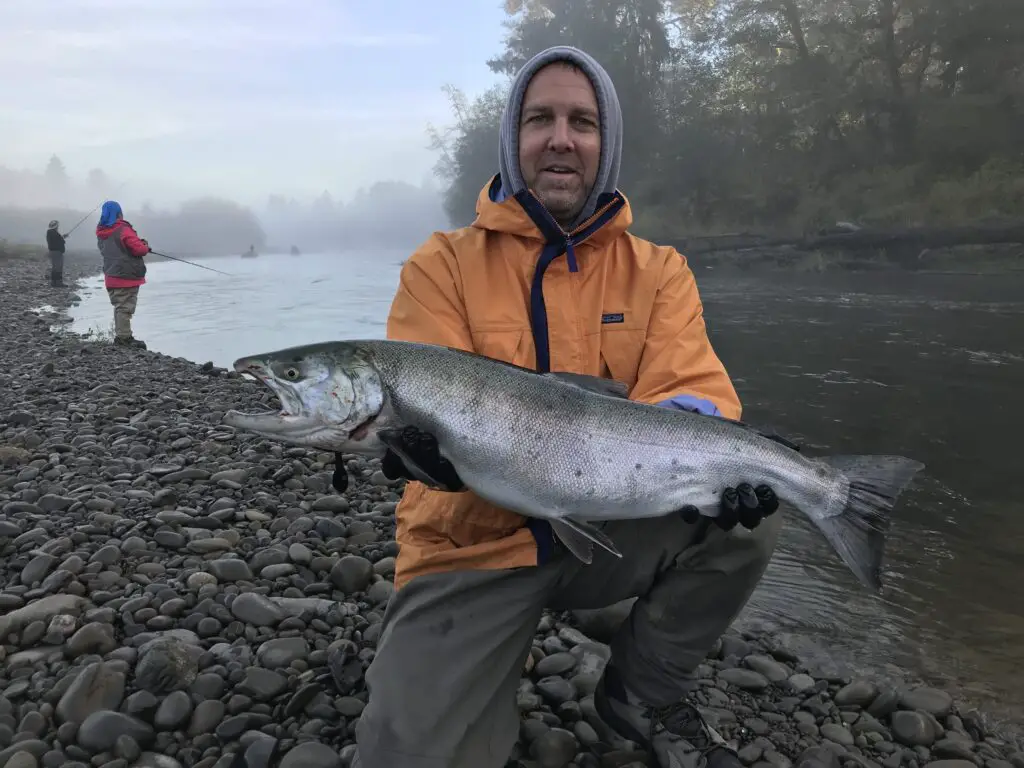 Big coho on a coastal river