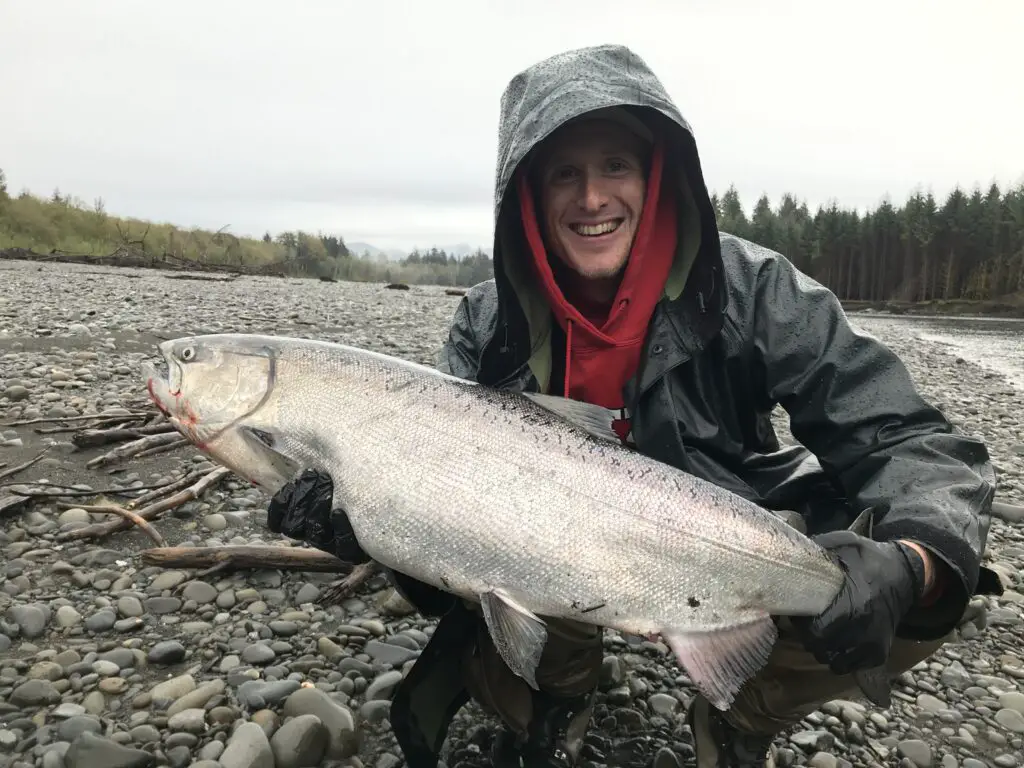Bright chinook king salmon on hoh with mike z ethan
