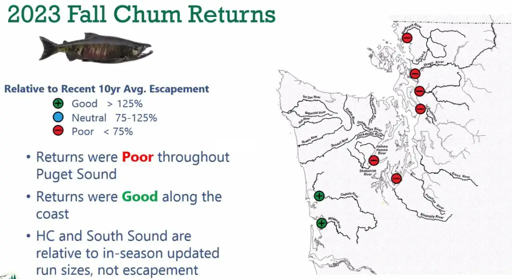 2023 fall chum returns