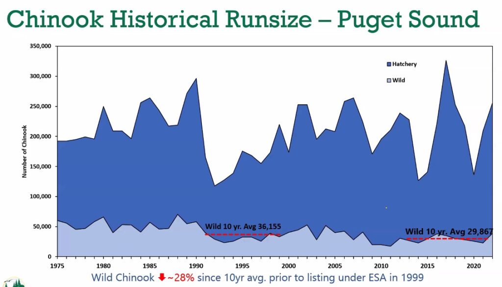Chinook historical runsize puget sound 50 years