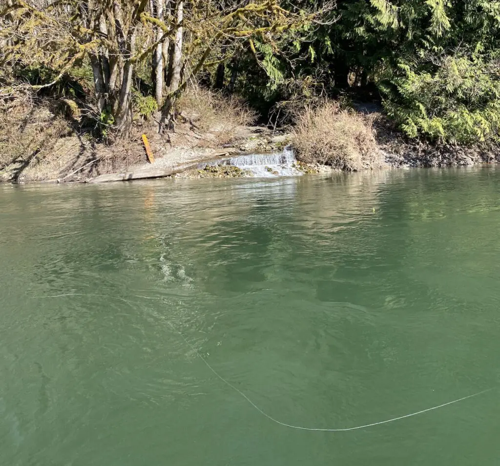 Skagit River