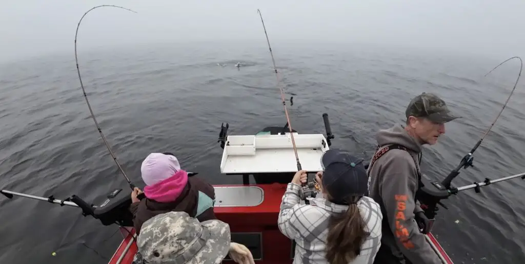 Coho double on Puget Sound