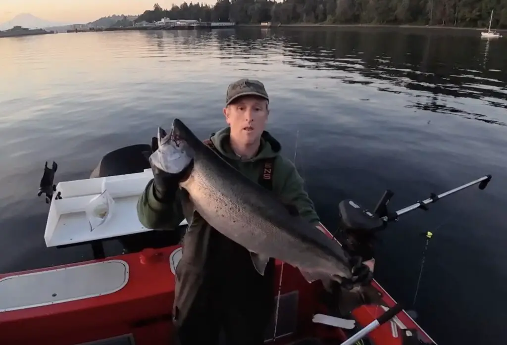 Fastest limit of chinook salmon on a solo trip near Point Defiance in Marine Area 11