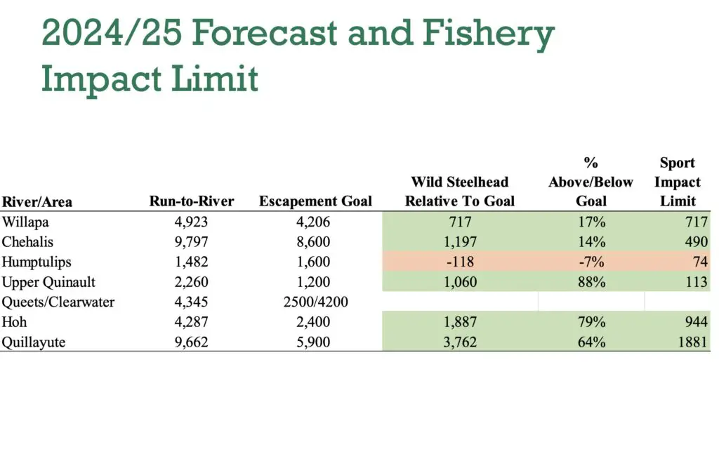 Wild steelhead forecast 2024-2025