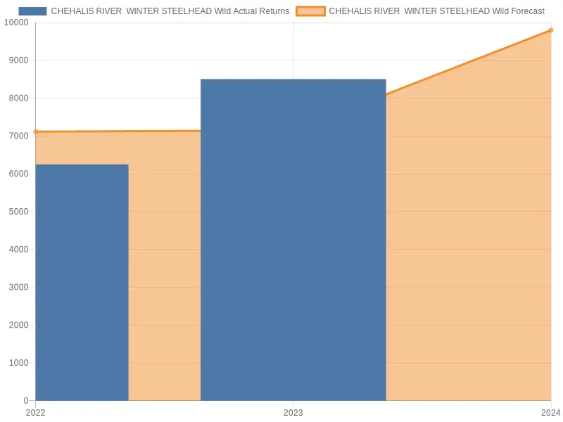 Chehalis River winter steelhead forecast 2024-2025