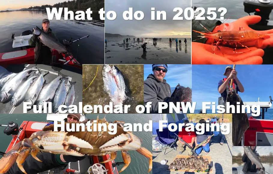 There are opportunities all 2025 to hunt, fish and forage in the PNW!